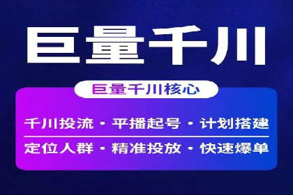 顶级SEM运营公司案例分析